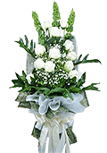 Flower Gift: Dozen of <Br>white rose </Br>