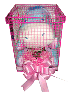 Doll Combo Gift: Baby Eeyore