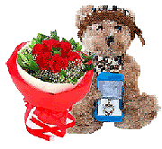 Doll Combo Gift: Surprise2